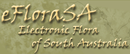 Logo eFloraSA